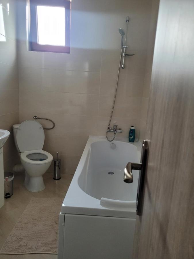 Appartement Amparo à Satu Mare Extérieur photo