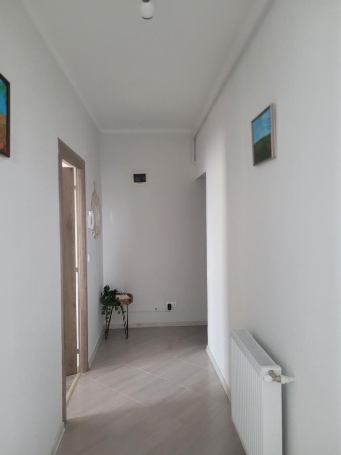 Appartement Amparo à Satu Mare Extérieur photo