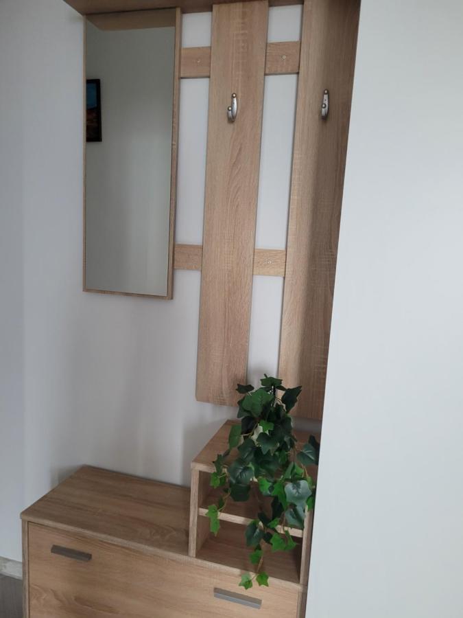 Appartement Amparo à Satu Mare Extérieur photo